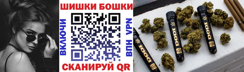 купить наркотики цена  Новоаннинский  Конопля план 